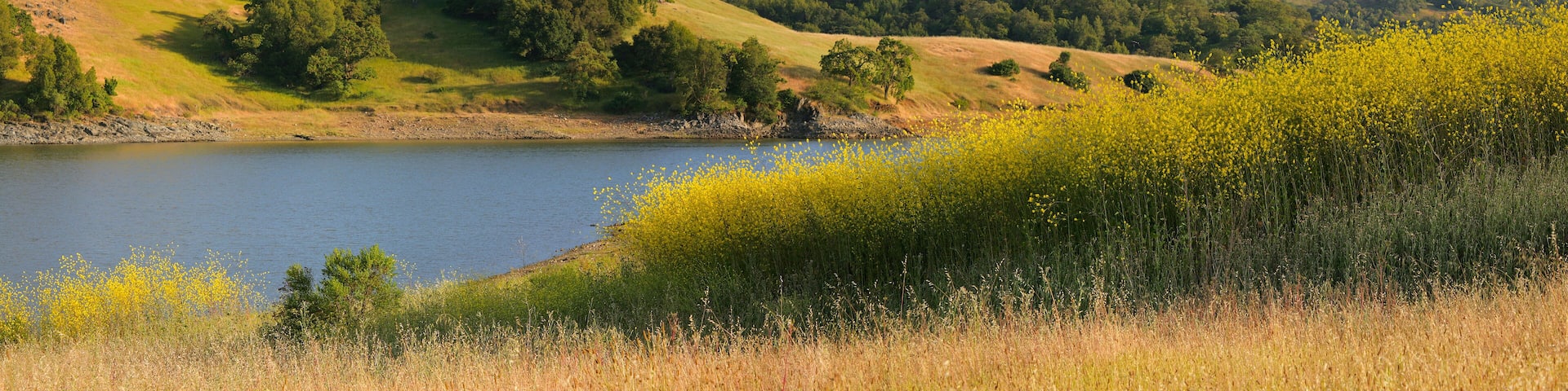 California lake and hillside in summer