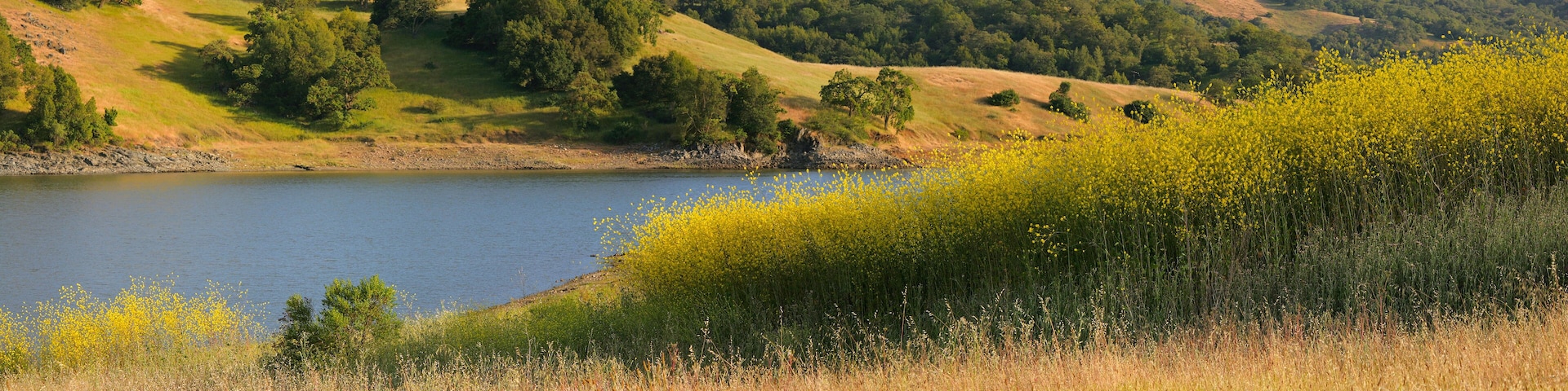 California lake and hillside in summer
