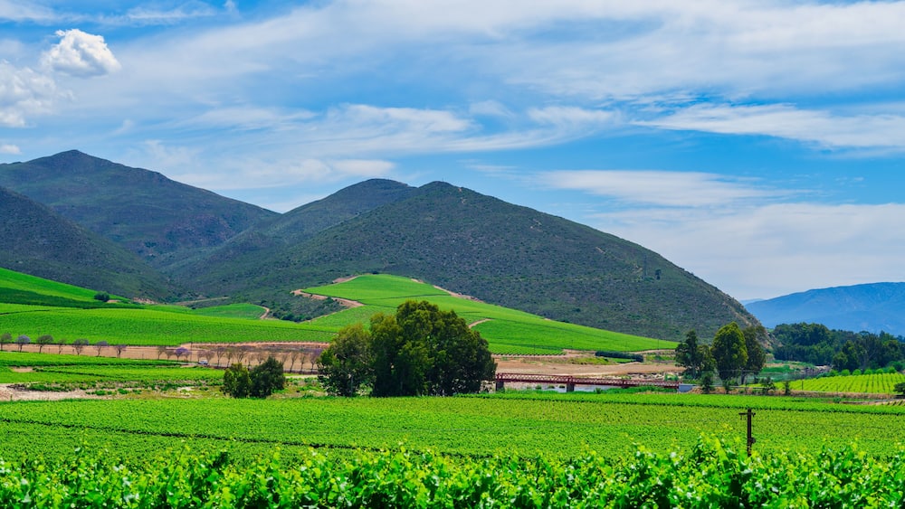 Panoramic view of Robertson wine valley with rolling hills and a bridge over the Breede River, Western Cape, South Africa