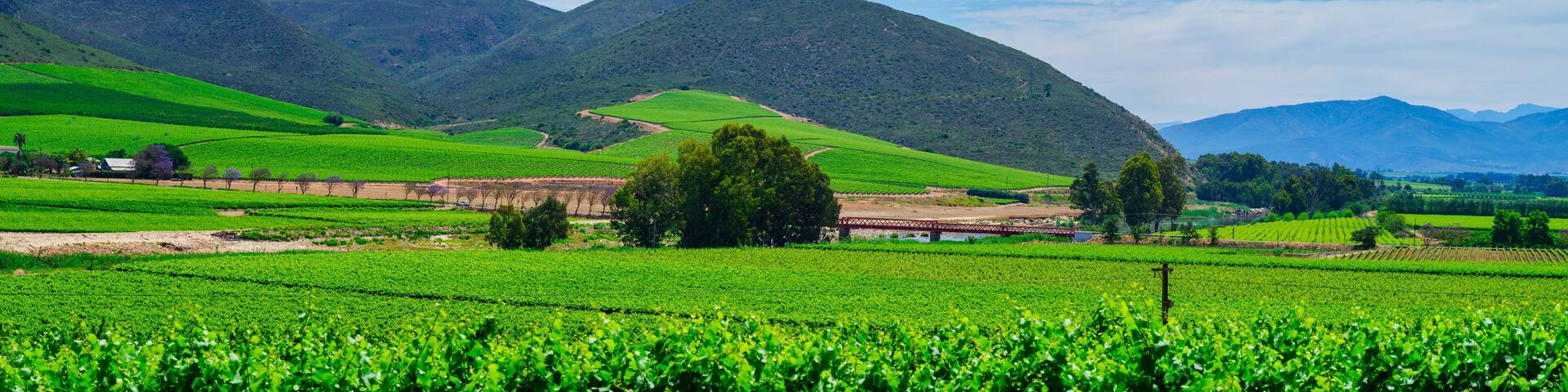 Panoramic view of Robertson wine valley with rolling hills and a bridge over the Breede River, Western Cape, South Africa
