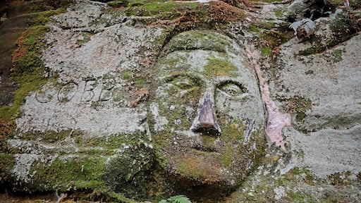 In addition to nice hiking trails, woods and rock formations there are these really cool carvings. #OnTheRoad