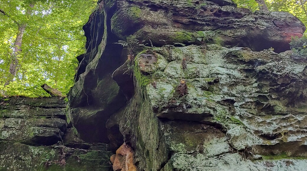A hidden face in #nature
The trail at Worden's Ledges, named after land owner Hiram Worden, holds some unusual surprises upon its sandstone walls.
In the 1940's, Hiram's son-in-law, Noble Stuart, took his hobby as an amateur sculptor into the woods to create a menagerie of works that remain today.