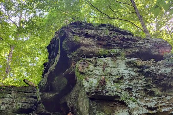 A large rock formation with moss and lichen growth, surrounded by dense green foliage.