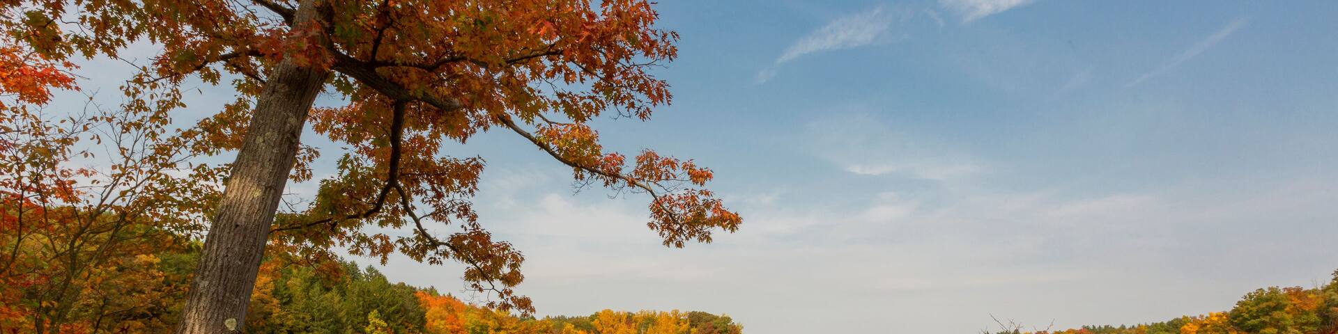 A calm lake surrounded by autumn foliage.