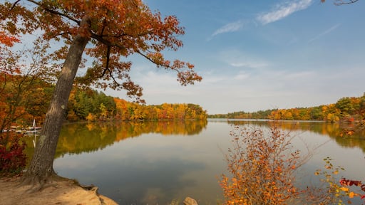 A calm lake surrounded by autumn foliage.
