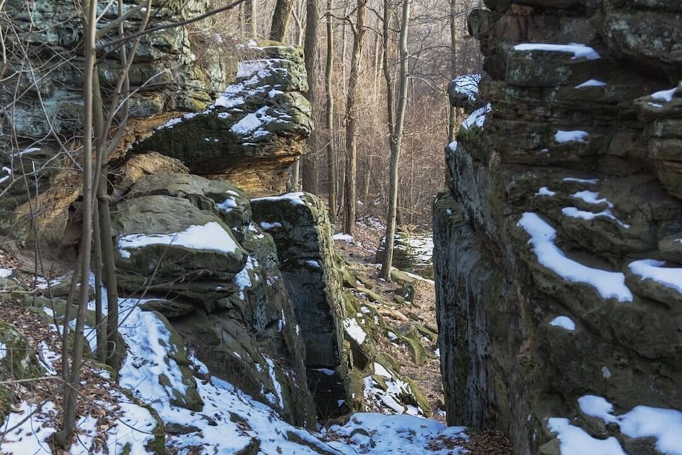 Un bosque nevado con terreno rocoso y árboles sin hojas.