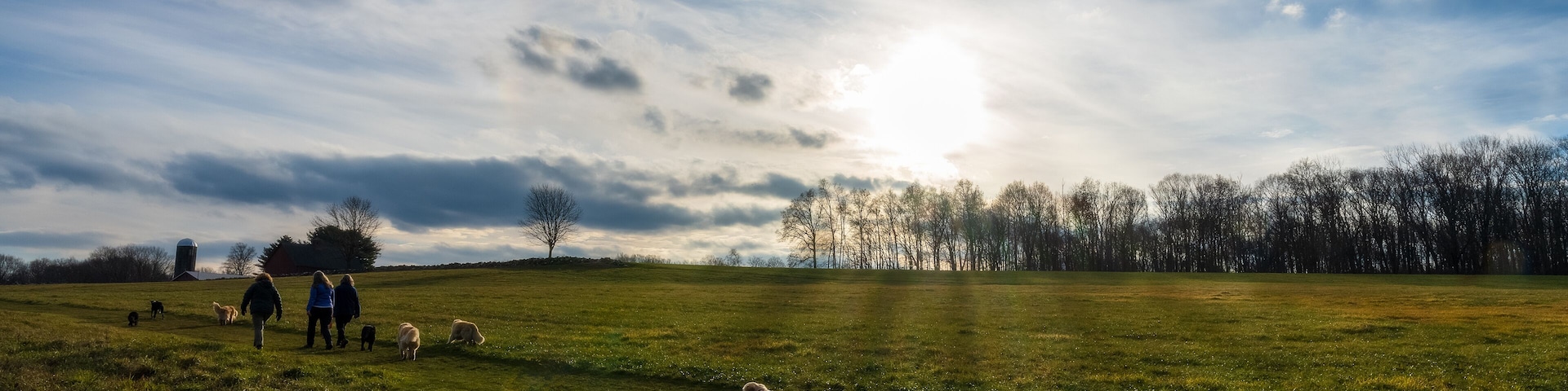photograph of friends and their dogs walking across a farm with the setting sun