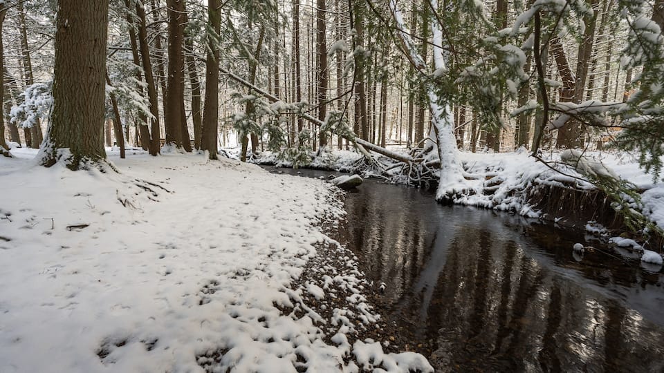 A snow-covered forest with a stream.