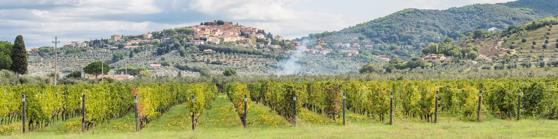 Blick auf Castagnetto Carducci, Toskana, Italien, Panorama