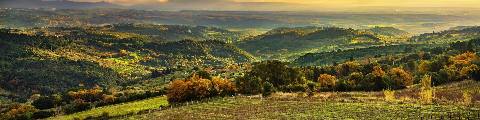 Maremma panorama. Countryside, hills and sea on horizon. Italy