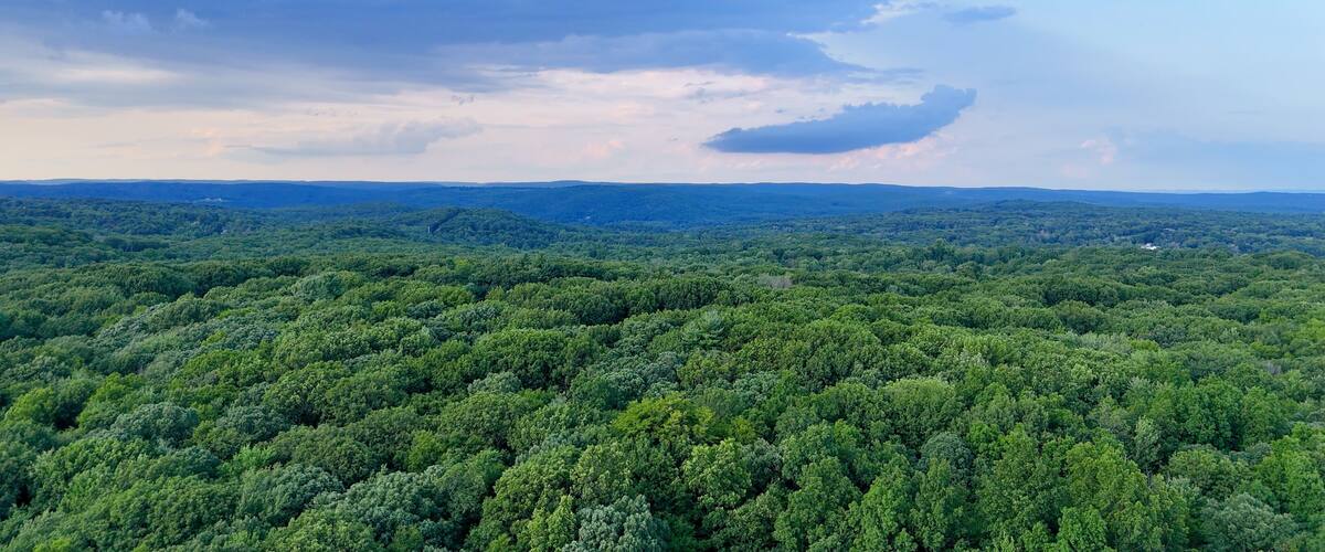 A vast forested landscape with a distant mountain range under a partly cloudy sky.