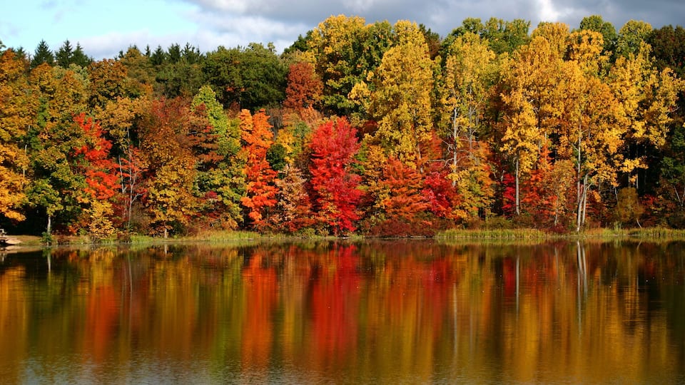 A lake surrounded by autumn-colored trees reflecting in the water.