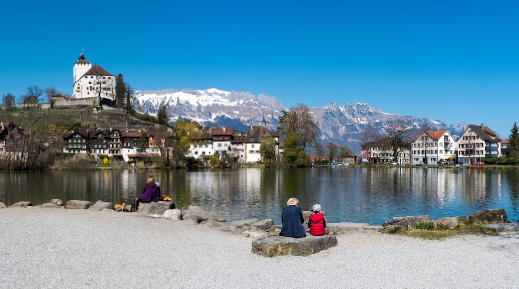 Werdenberg, SG / Switzerland - March 31, 2019: tourists enjoy a visit to idyllic and historic Werdenberg village and lake with a great view of the Swiss Alps in the background
