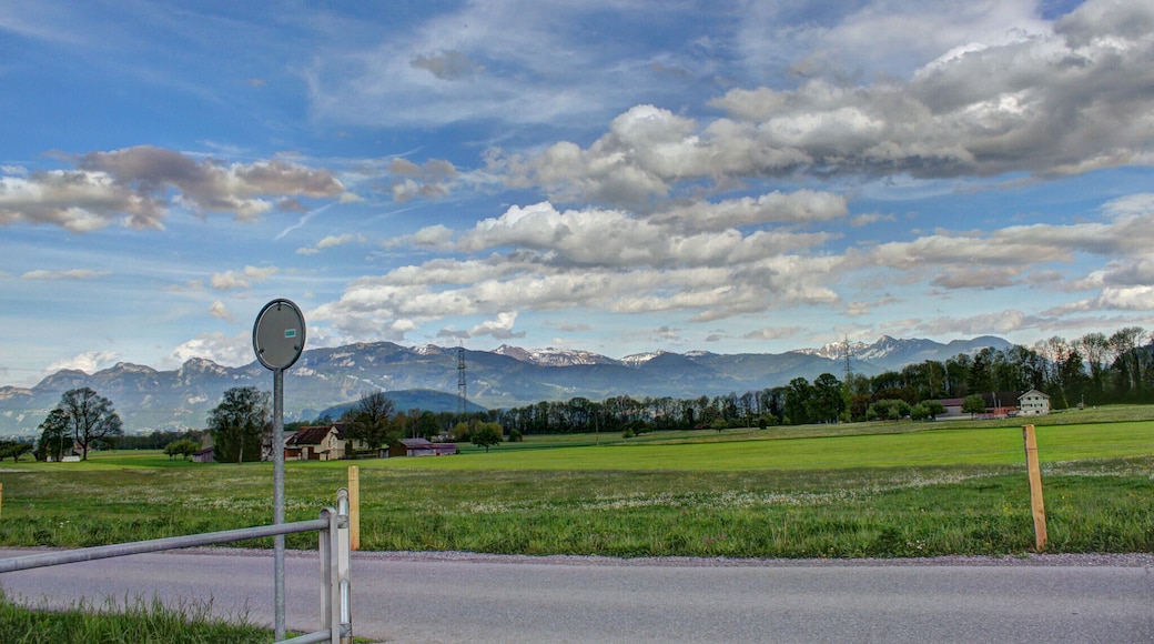 อิชเบิร์ก