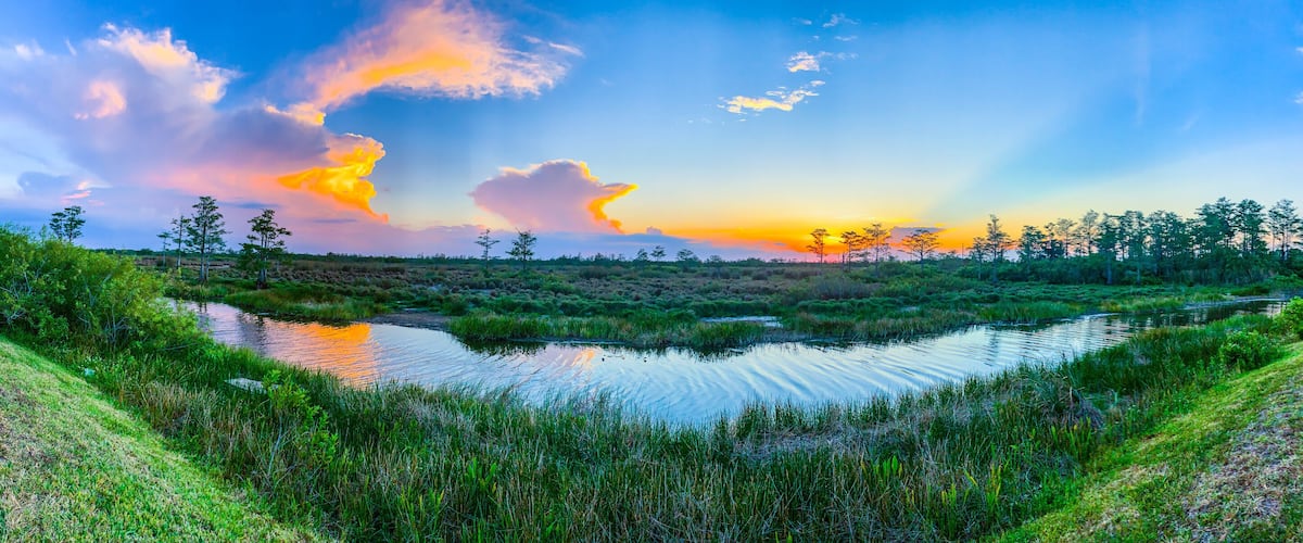 A sunset over a marshy landscape with a pond, trees, and a grassy area.