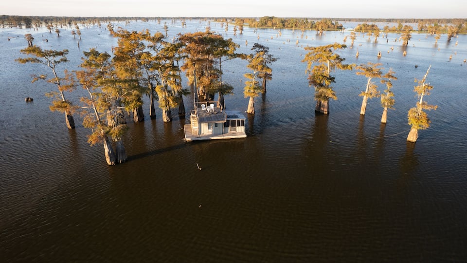 A houseboat surrounded by water with trees.