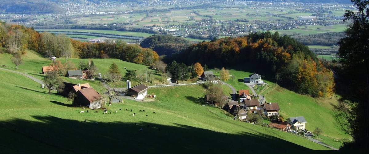 A rural landscape with green fields, scattered houses, and snow-capped mountains in the background.