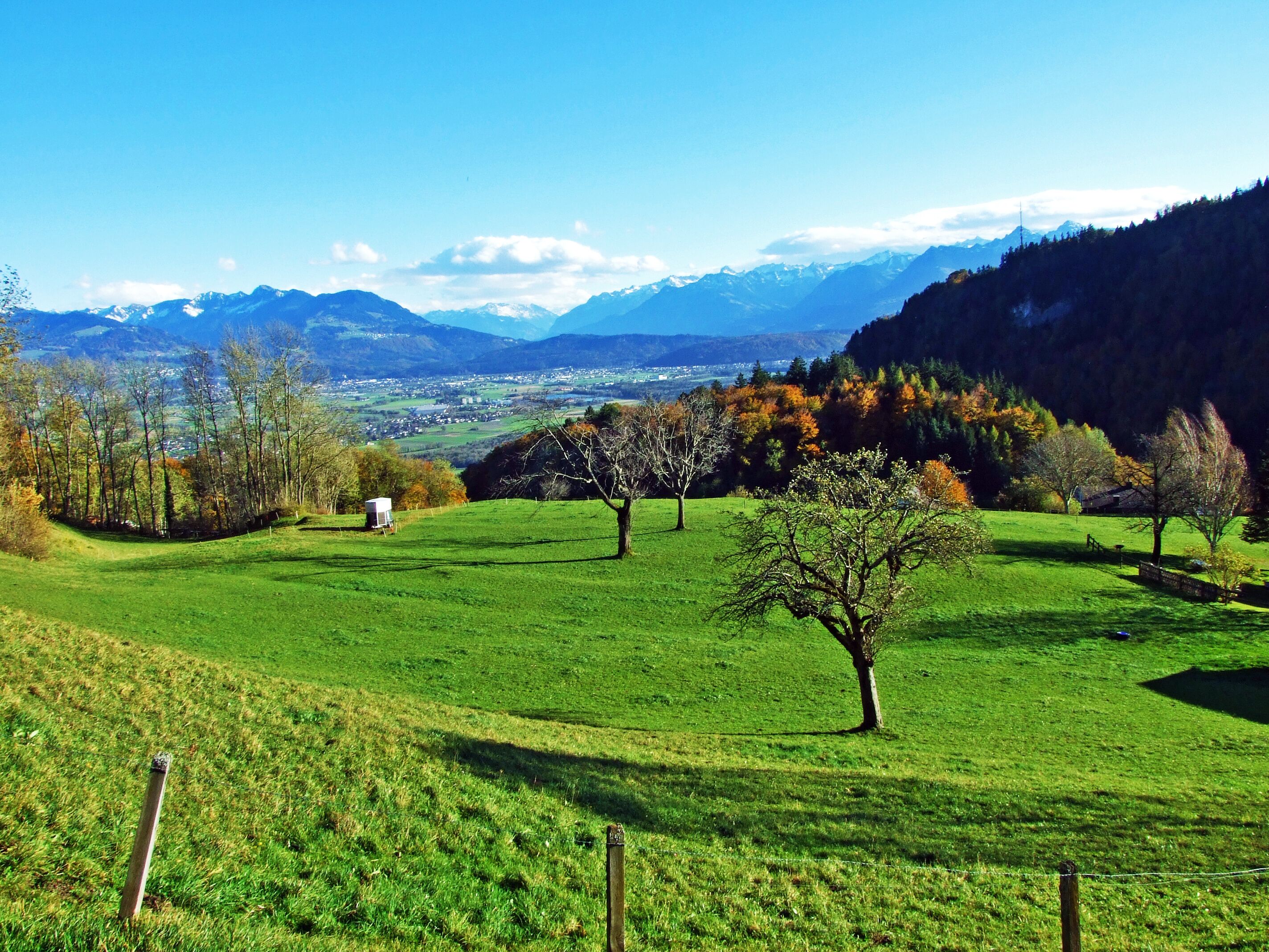 Alpine pastures and grasslands on the slopes of the Alpstein mountain massif and in the Rhine river valley (Rheintal), Oberriet SG - Canton of St. Gallen, Switzerland