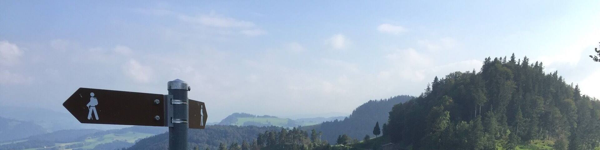 NO EDITING: stunning view from the top of the hill Schlosshöchi. Unfortunately just accessible by foot. You have to walk all the way onto the hill....