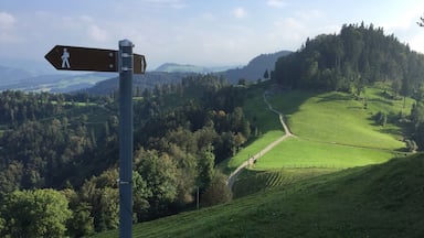 NO EDITING: stunning view from the top of the hill Schlosshöchi. Unfortunately just accessible by foot. You have to walk all the way onto the hill....
