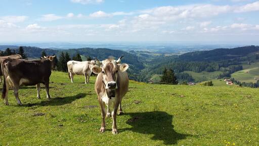 NO EDITING: view from beside the restaurant on the Sitz. An amazing hill with this beautiful view. Check out Switzerland