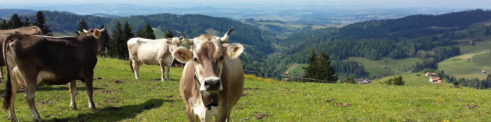 NO EDITING: view from beside the restaurant on the Sitz. An amazing hill with this beautiful view. Check out Switzerland