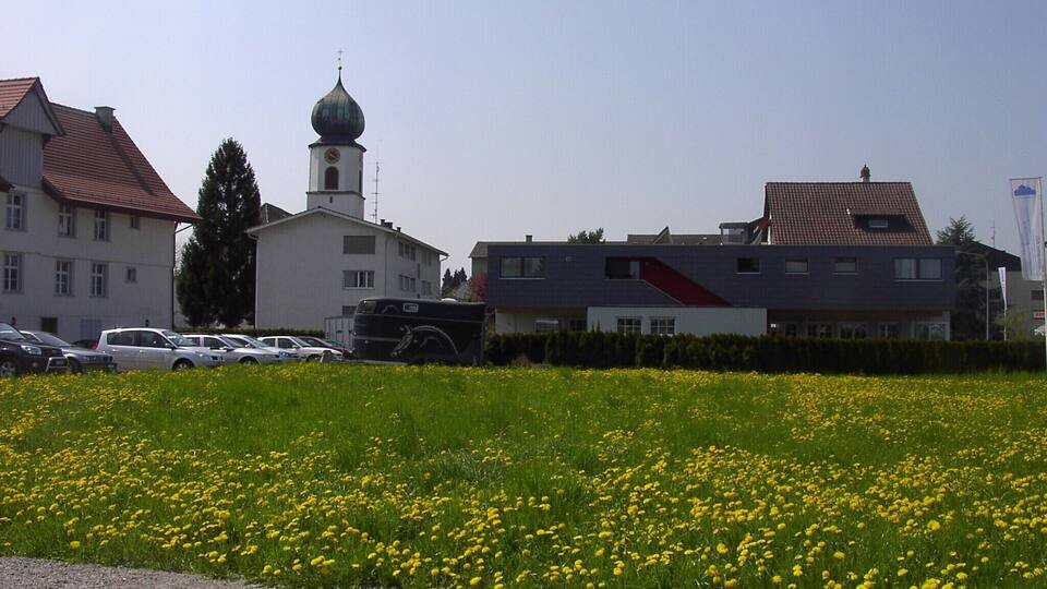 A field of yellow flowers, a church with a dome, and modern buildings.