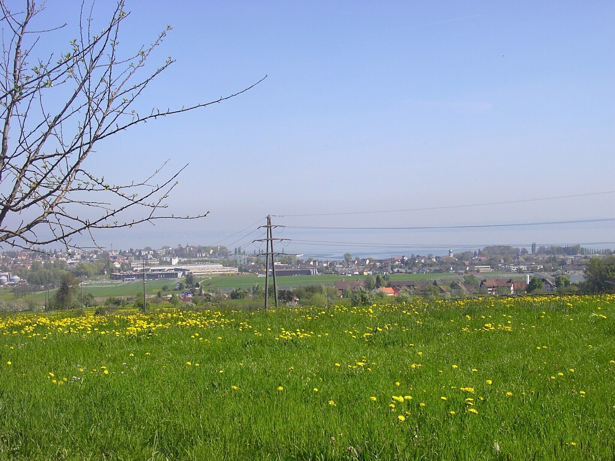 Blick auf Arbon (TG) und Steinach (SG) mit Bodensee