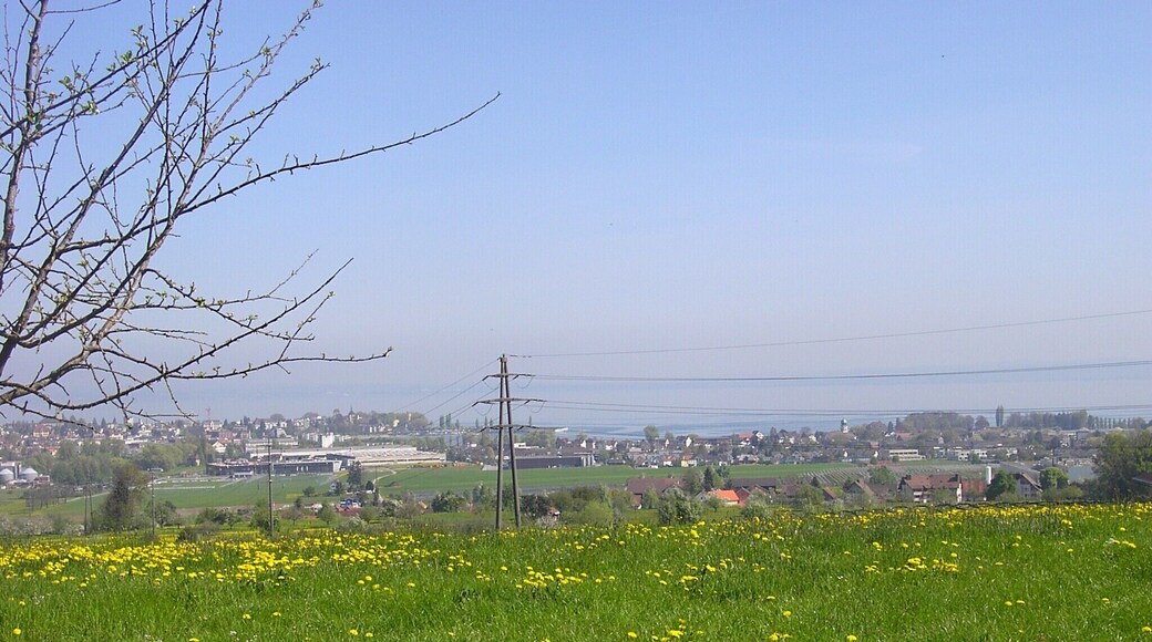 Blick auf Arbon (TG) und Steinach (SG) mit Bodensee