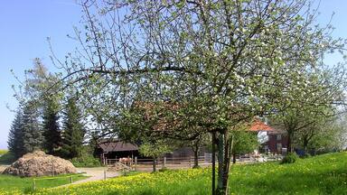 Bodenseeregion im FrĂŒhling
