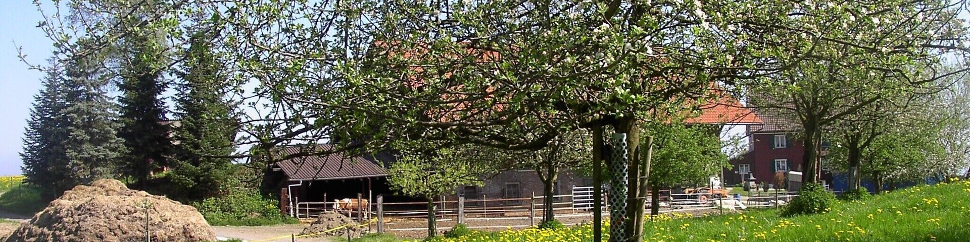 Bodenseeregion im Frühling