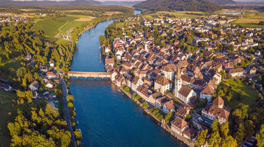 A river flowing through a town with a bridge, surrounded by greenery and residential buildings.