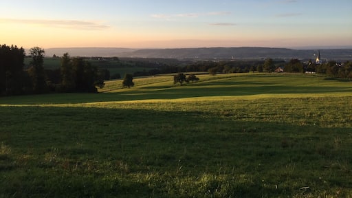NO EDITING: Tonights walk in the beautiful landscapes of the northern part of Switzerland brought up so nice pictures. This is one of them. If you want more - tell me.