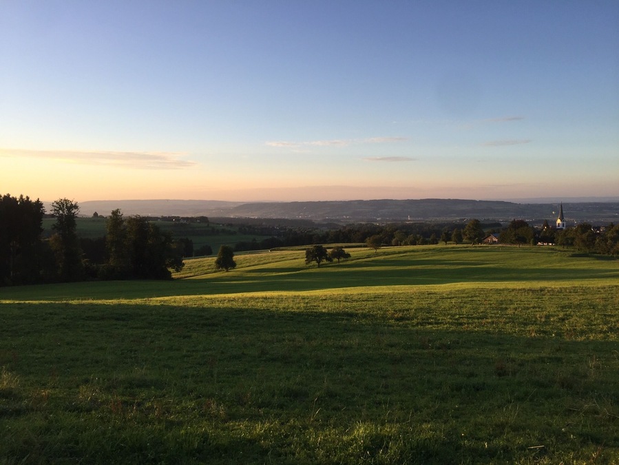 NO EDITING: Tonights walk in the beautiful landscapes of the northern part of Switzerland brought up so nice pictures. This is one of them. If you want more - tell me.