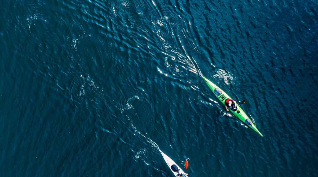 Two kayaks on a large body of water.