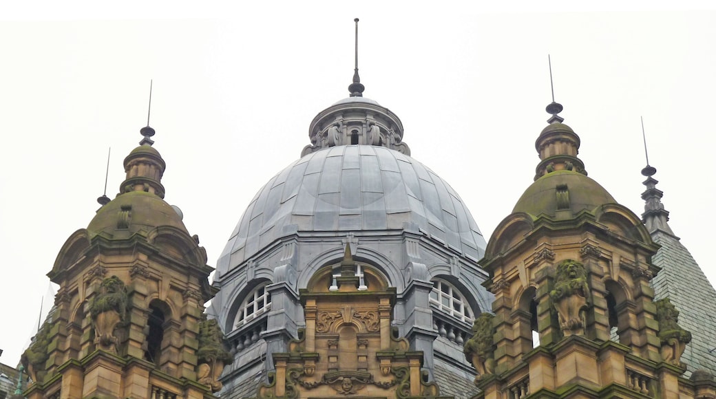 Domes on the City Markets, Leeds, West Yorkshire