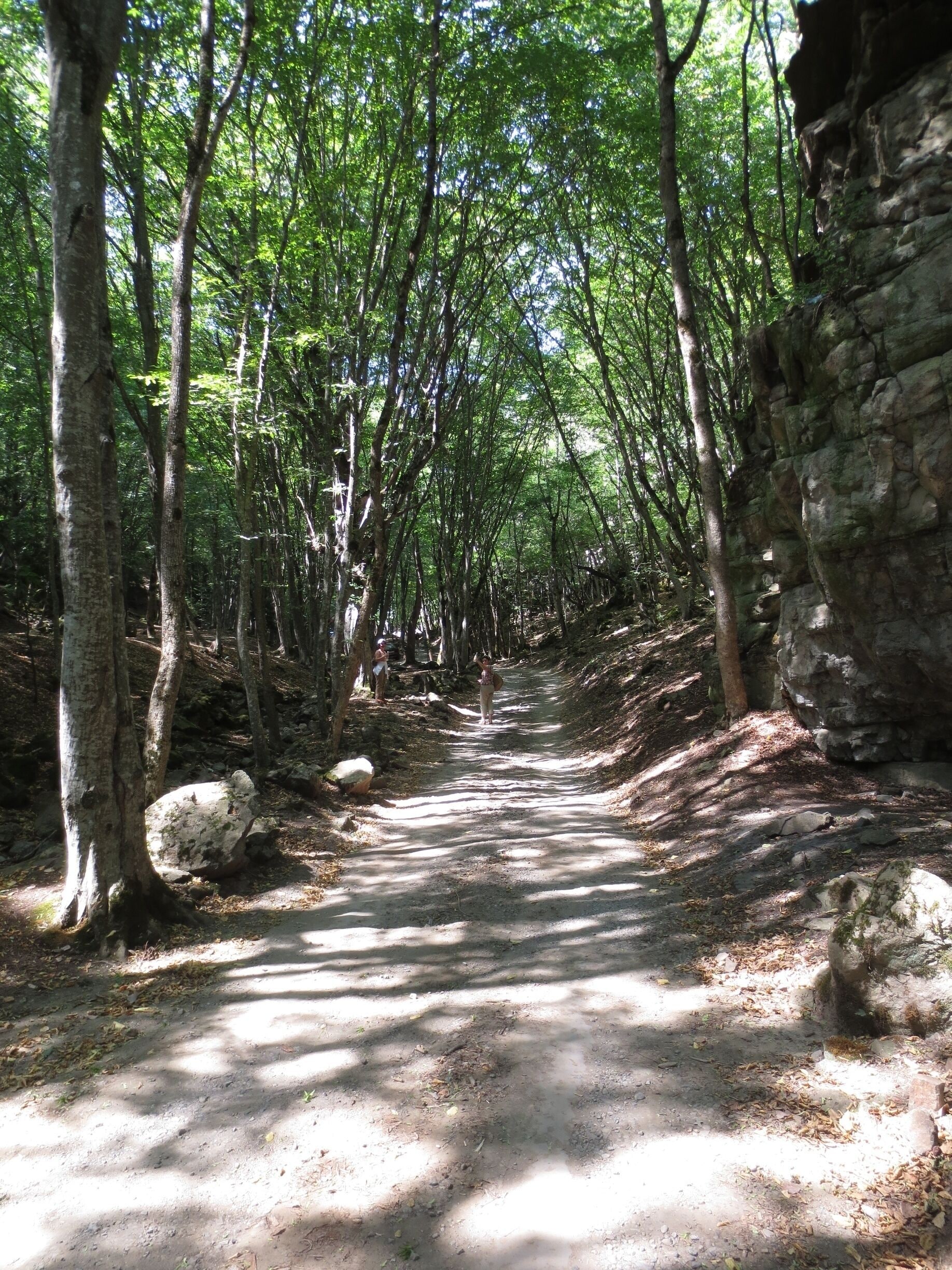View from the country of Georgia.  The road in this picture leads to an ancient monastery called the Mtsvane "Green" Monastery.

In order to reach the monastery, you'll have to traverse this road, which is through the woods.  It's a pleasant walk.