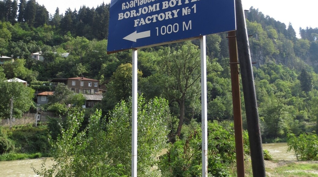Sign for the Borjomi Bottling Factory in the resort city of Borjomi, Georgia.
The city of Borjomi produces Borjomi mineral water - which was one of the Soviet Union's main exports and is sold all over the world today. I've even spotted Borjomi bottled water for sale in speciality supermarkets on the West Coast of the United States.
There's a large Borjomi Bottling Factory in Borjomi - this is a picture of the sign. I've been to Borjomi twice now, and i've only driven by the factory. I don't know if there are tours of the facility. Keep an eye out for Borjomi bottled water in your local supermarket!