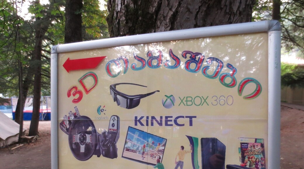 Sign in Borjomi, Georgia. Xbox 360.