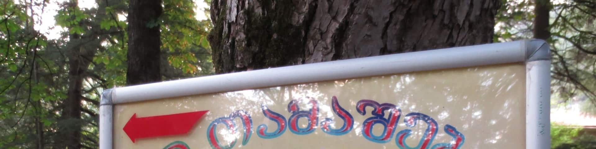 Sign in Borjomi, Georgia. Xbox 360.