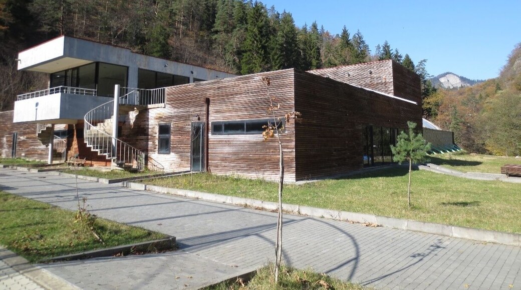 View from inside of a park in the city of Borjomi, Georgia.
This is a recently constructed indoor swimming pool facility inside of the park.
There are numerous sulphur springs in this park, and the water in the swimming pool here is taken from the sulphur water.