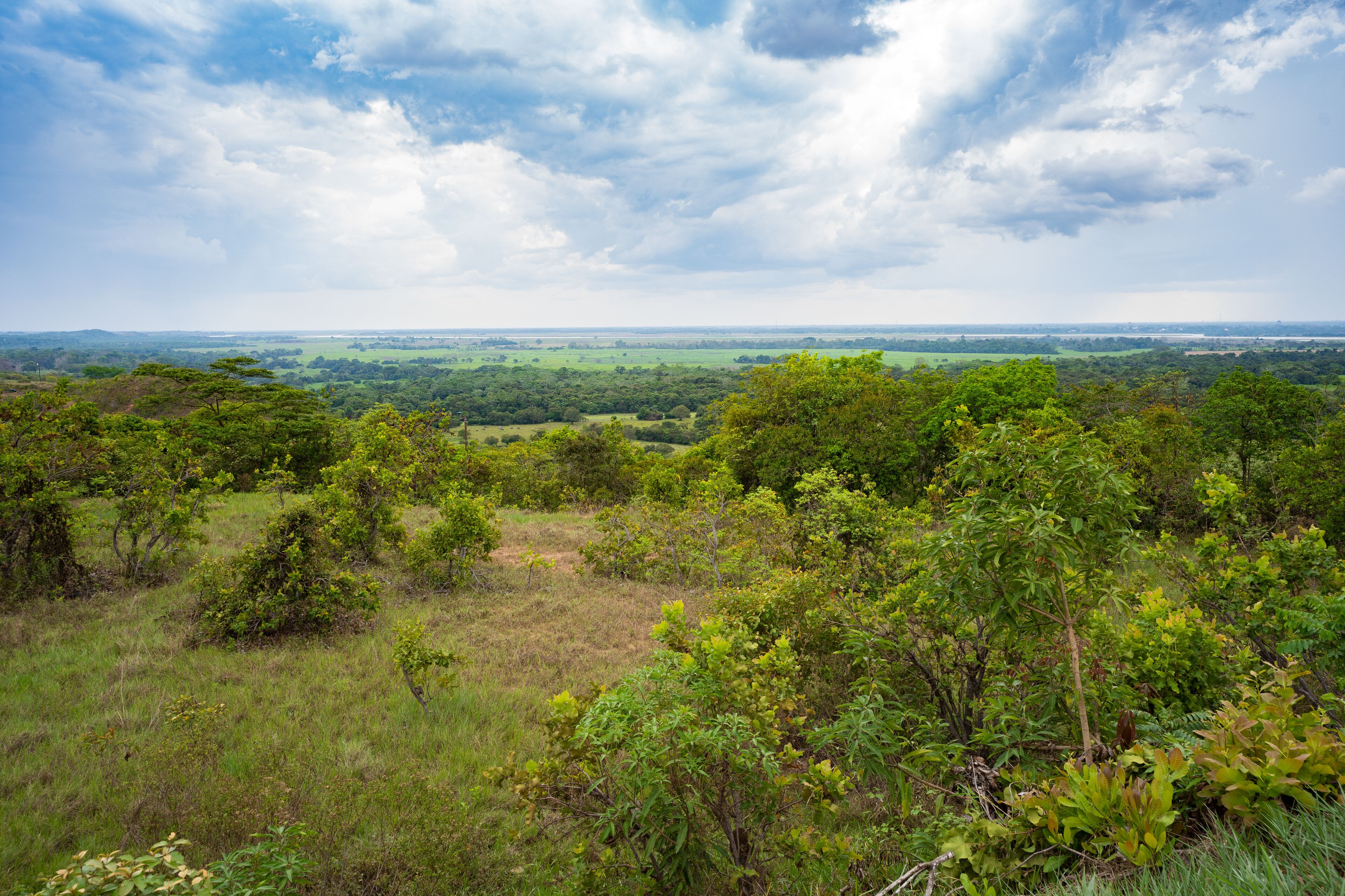 view of the plain and the river Metica since the obelisk of Puerto Lopez, Meta, Colombia