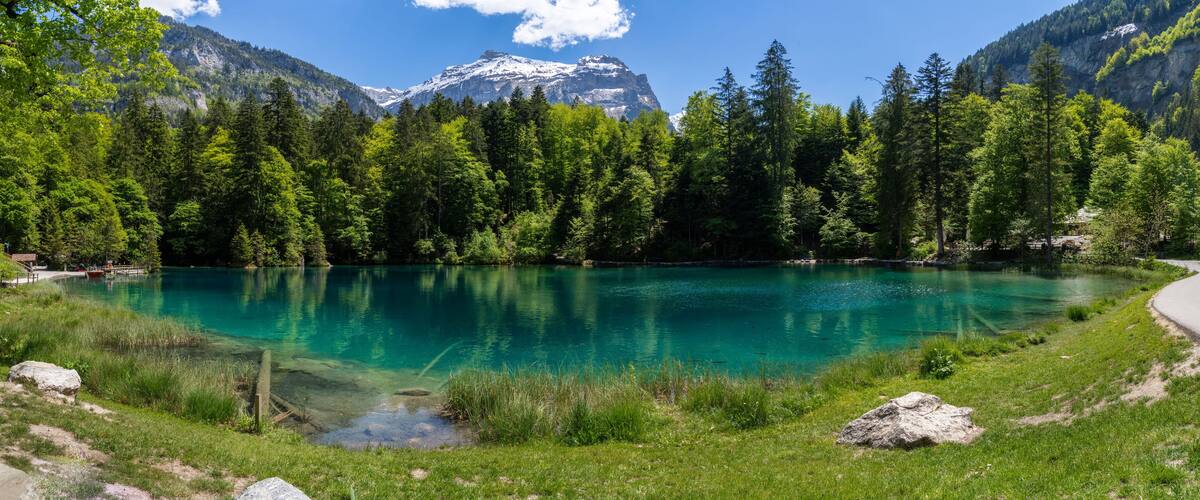 A clear lake surrounded by dense forest and mountains.