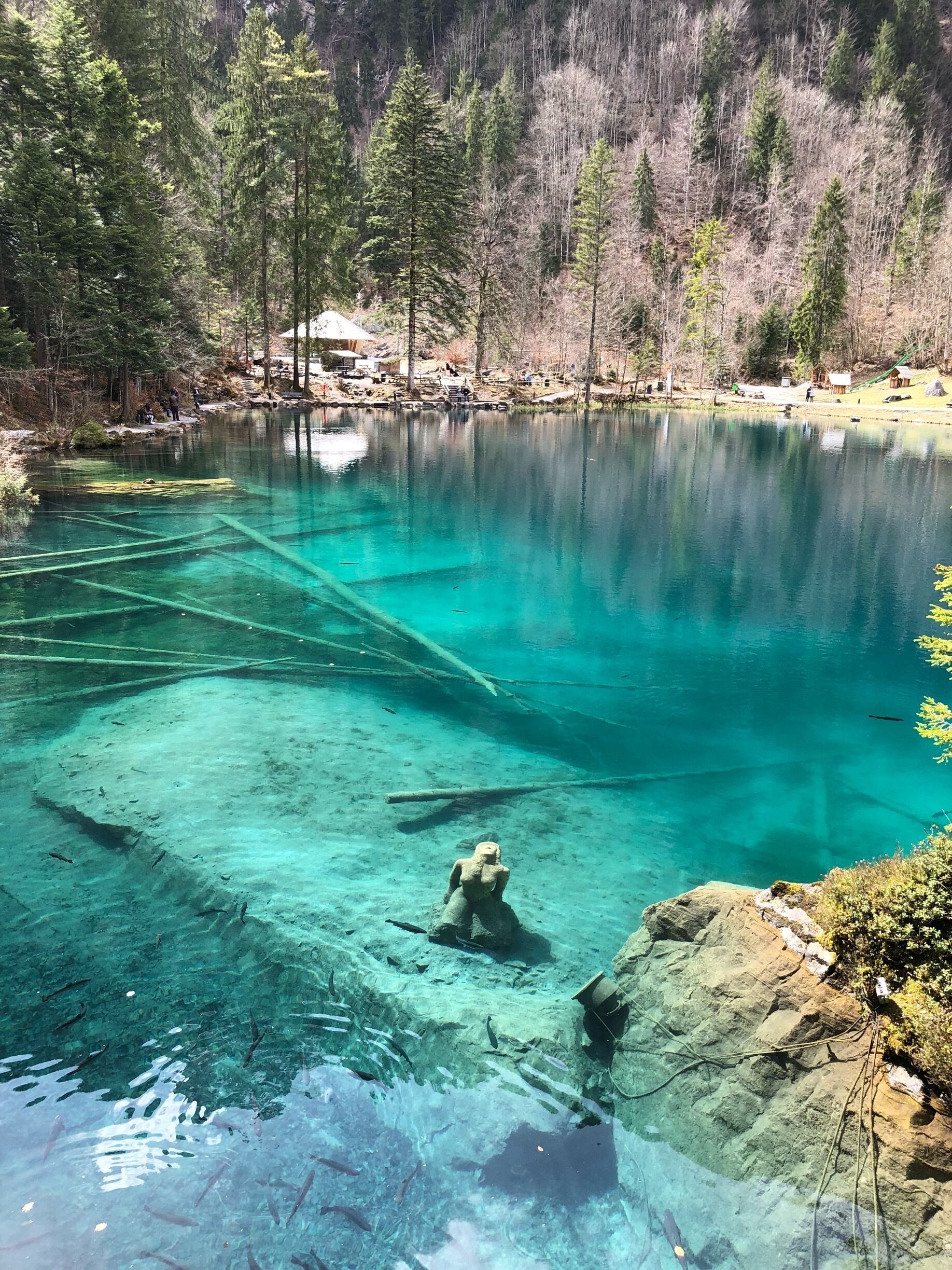 The crystal clear water highlights what lays underneath. The mermaid, the wood, the fish.. and when the sun rays touch the water, it is truly a sight to behold! 

#Blausee #Details #Sweepstakes