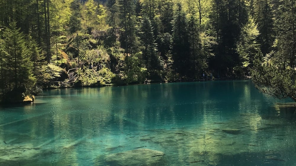 A clear mountain lake surrounded by dense forest and rocky cliffs.