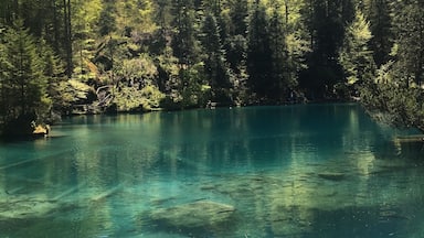 Blausee, Switzerland 🇨🇭