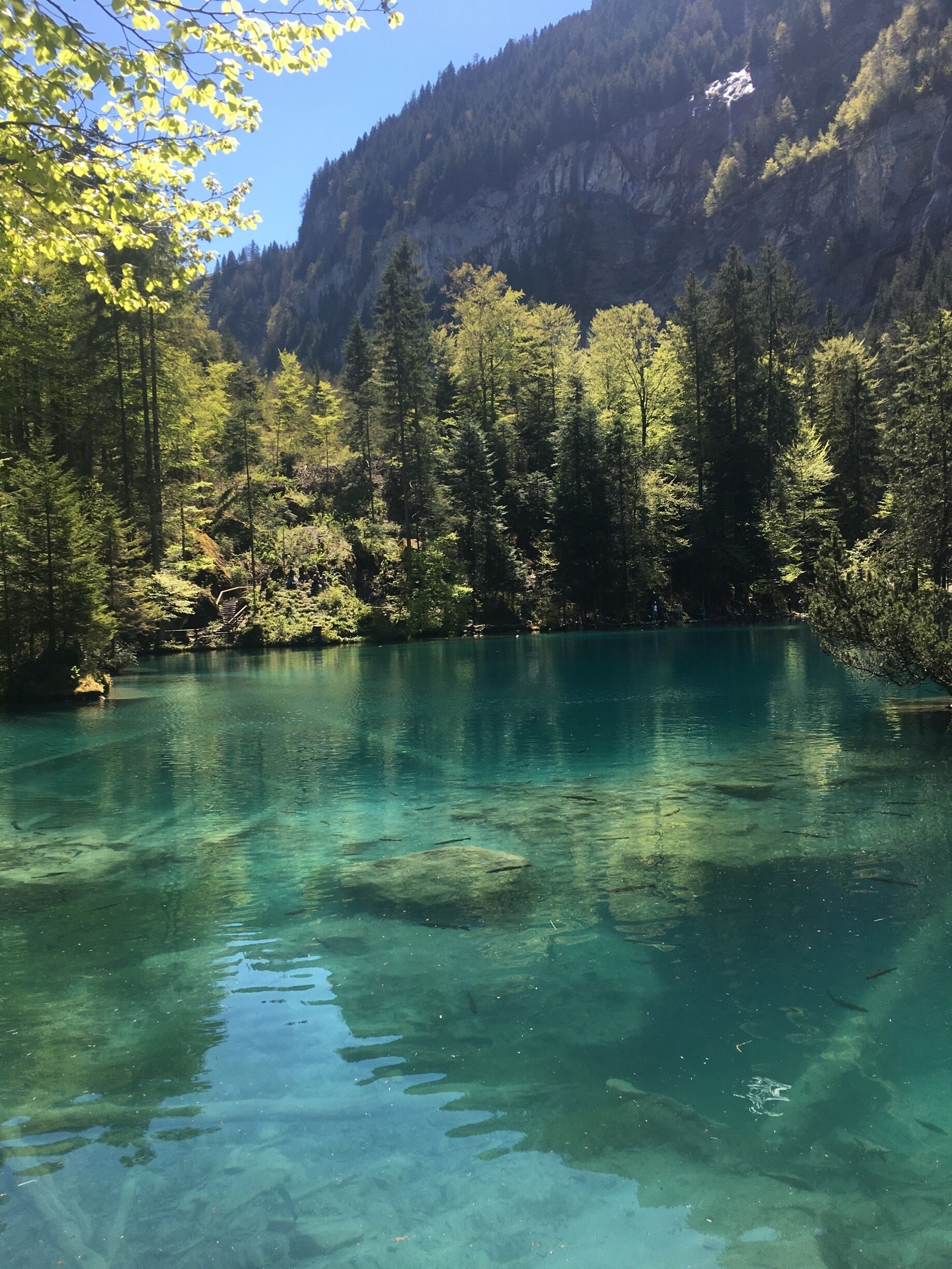 A clear mountain lake surrounded by dense forest and rocky cliffs.