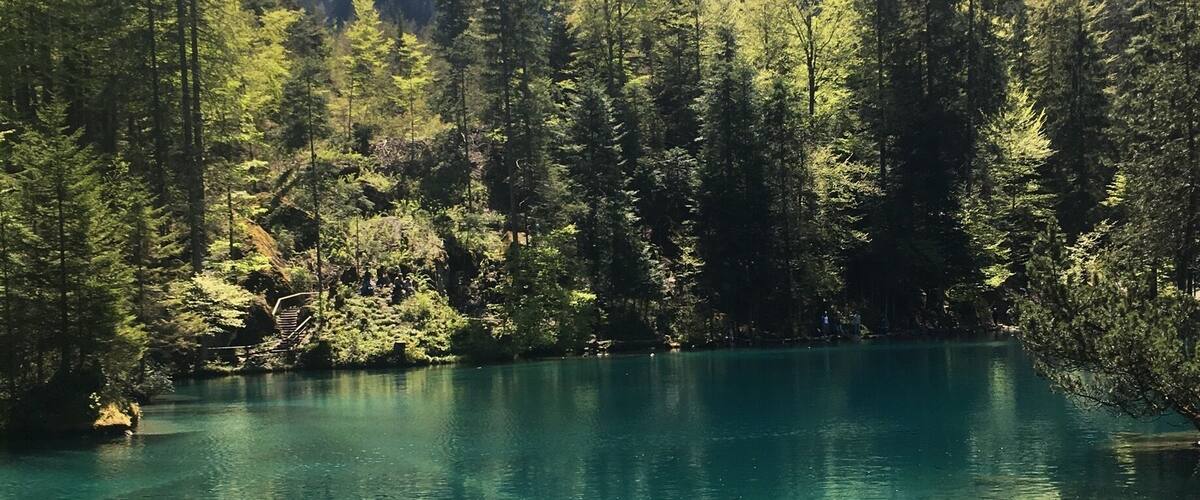 A clear mountain lake surrounded by dense forest and rocky cliffs.