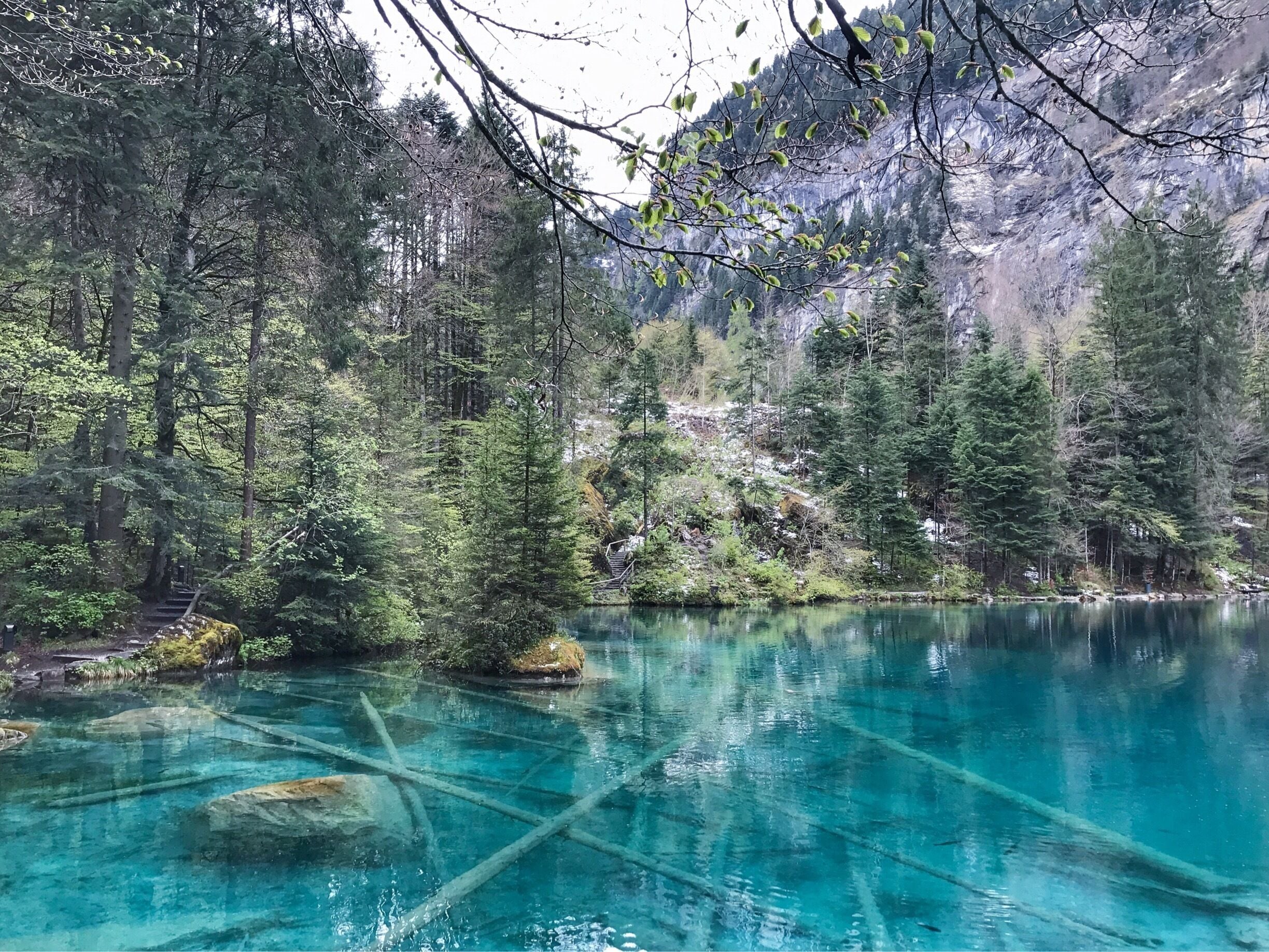 #SpringFun 
2hr20min train ride from Zurich to witness this romantic Blausee, the fairytale blue lake at Kandergrund. 