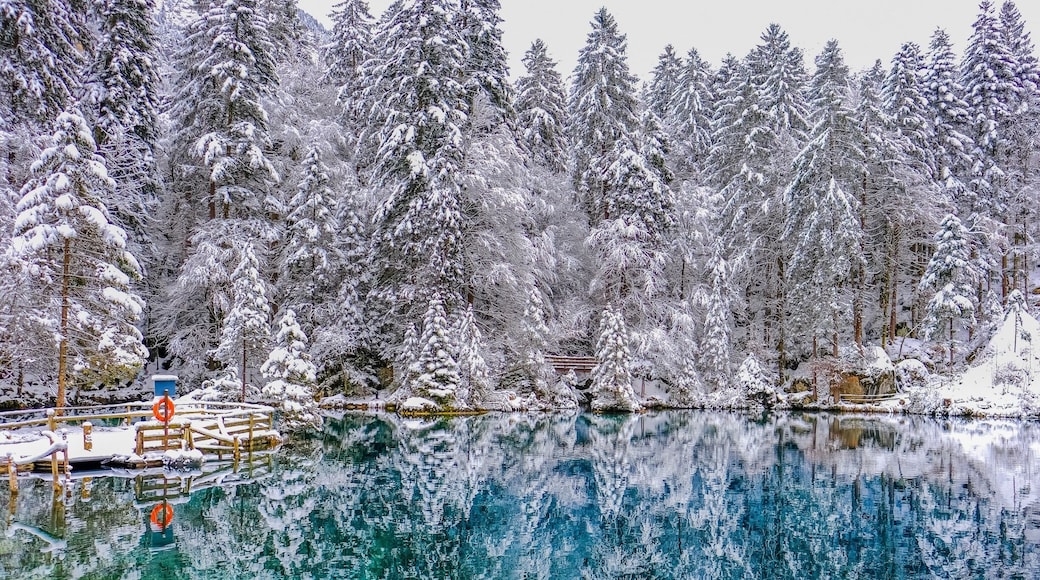 Beautiful small lake #snow #bvsblue